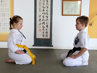 Reiwaryu Ryushinkan children's karate class Brighton