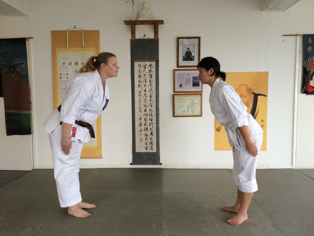 Reiwaryu Ryushinkan Adult Karate Class Brighton