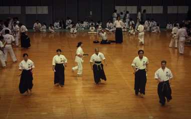 Karate lessons Ryushinkan
