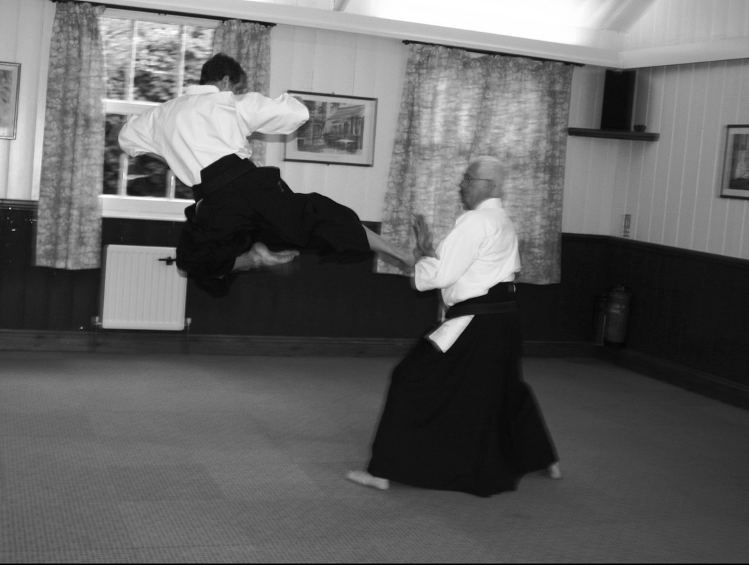 Karate Training with Sensei