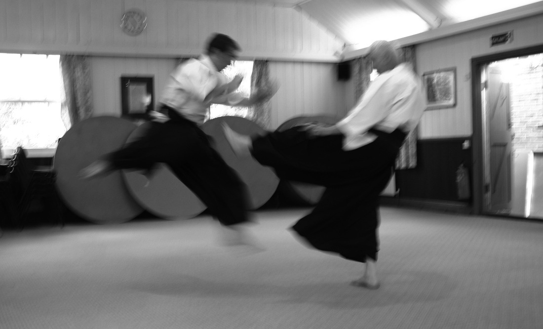 Reiwaryu Ryushinkan Karatedo